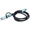 iTec USB 3.1 Type C USB 3.1 + USB 3.1 Type C Átalakító Fekete 1m C31USBCACBL