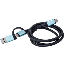 iTec USB 3.1 Type C USB 3.1 + USB 3.1 Type C Átalakító Fekete 1m C31USBCACBL kábel és adapter