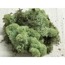 Izlandi zuzmó, menta. Kb. 35 gr. dekorációs kellék