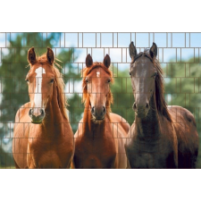 Jago Táblás kerítésbe fűzhető lovas kép 250x180 cm 19 cm-es szalagból műanyag belátás gátló szélfogó redőny