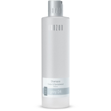 JANZEN Grey 300ml (8717612760049) sampon