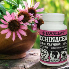 Javallat ® - Echinacea (Bíbor kasvirág) 60 db gyógyhatású készítmény