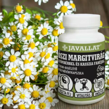 Javallat ŐSZI MARGITVIRÁG gyömbérrel és kasszia fahéjjal vitamin és táplálékkiegészítő