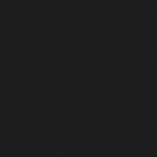 Javoli Fekete Maki szalvéta 20 db-os 25x25 cm party kellék