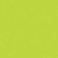 Javoli Kivi zöld Maki szalvéta 20 db-os 33x33 cm party kellék