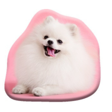 Javoli Kutyás Pomeranian formapárna, díszpárna 39x37 cm Velúr lakástextília