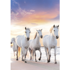 Javoli Lovas Gallop A/4 gumis mappa mappa