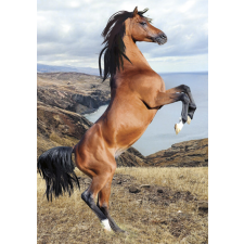 Javoli Lovas Wild Spirit A/4 gumis mappa mappa