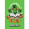 Javoli Minecraft Boom Creeper szuper puha polár takaró 100*150cm