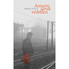Jelenkor Amerre járok védtelen szépirodalom