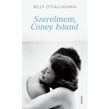 Jelenkor Kiadó Szerelmem, Coney Island regény