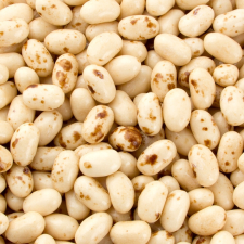 Jelly Belly Jelly Belly Toasted Marshmallow pirított mályvacukor ízű drazsé 70g csokoládé és édesség