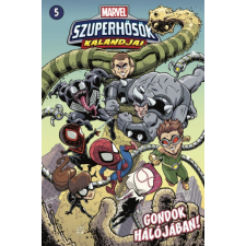 Jim McCann - Marvel szuperhősök kalandjai 5. - Gondok hálójában! egyéb könyv