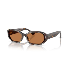 Jimmy Choo JC5021BU 500273 HAVANA/SILVER SHADE BROWN napszemüveg
