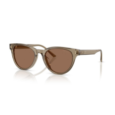 Jimmy Choo JC5043D 505173 TRANSPARENT BROWN DARK BROWN napszemüveg napszemüveg