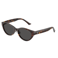 Jimmy Choo JC5064D 500287 Havana Dark Grey napszemüveg napszemüveg