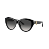 Jimmy Choo Napszemüvegek Jimmy Choo JC5007 50008G