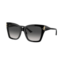 Jimmy Choo Napszemüvegek Jimmy Choo JC5012 50008G