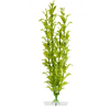 JK | Hygrophila, műnövény dekoráció - 25-28 cm