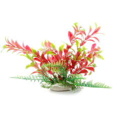 JK | Ludwigia | Műnövény dekoráció - 14-17 cm akvárium dekoráció