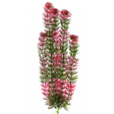 JK | Red Anacharis | Piros Anacharis, műnövény dekoráció - 38-43 cm akvárium dekoráció