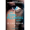 Jo Callaghan - Egy szempillantás alatt