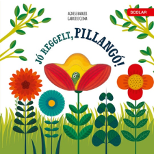  Jó reggelt, pillangó! gyermek- és ifjúsági könyv