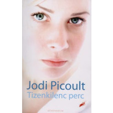Jodi Picoult TIZENKILENC PERC regény