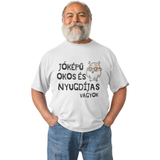  Jóképű, okos és nyugdíjas vagyok - Férfi Póló férfi póló