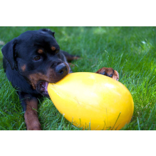 JOLLY Pets tojás  alakú játék 30 cm lila kutyajáték játék kutyáknak