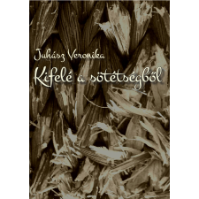 Juhász Veronika (magánkiadás) Kifelé a sötétségből egyéb e-könyv