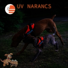 Julius-K9 IDC Powerhám, Baby 1 UV - Narancs nyakörv, póráz, hám kutyáknak