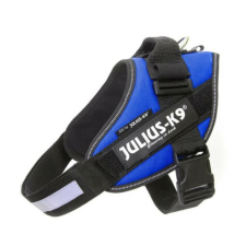 Julius-K9 IDC Powerhám, felirattal, Baby 1 Kék nyakörv, póráz, hám kutyáknak