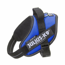 Julius-K9 IDC Powerhám, felirattal, Mini-mini Kék nyakörv, póráz, hám kutyáknak