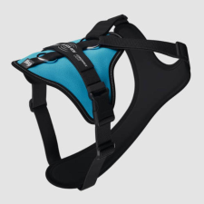 Julius-K9 JK9 Longwalk Light kutyahám okoseszköz-tartó hámfelírattal, aquamarine, 2XL nyakörv, póráz, hám kutyáknak