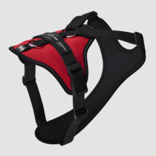 Julius-K9 JK9 Longwalk Light kutyahám okoseszköz-tartó hámfelírattal,piros, 2XL nyakörv, póráz, hám kutyáknak