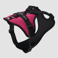 Julius-K9 JK9 Longwalk Light kutyahám okoseszköz-tartó hámfelírattal, sötét pink, XS nyakörv, póráz, hám kutyáknak