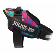 Julius-K9 Julius K-9 IDC Powerhám (2-es méret, Vibe) kutyák részére nyakörv, póráz, hám kutyáknak
