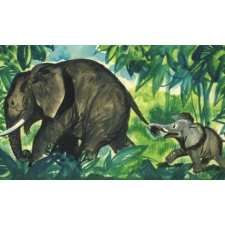  Jumbó, egy kis elefánt kalandjai diafilm diafilm