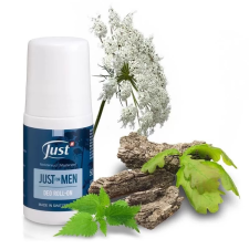  Just for Man deo roll-on (50 ml) dezodor