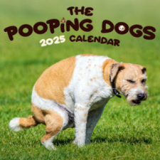  Kackende Hunde - Der Pooping Dogs Kalender 2025 naptár, kalendárium