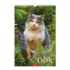 Kalendart 2024-es T094 cicák falinaptár (24T9400-11A) naptár, kalendárium