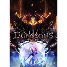 Kalypso Media Digital Dungeons 3 - Clash of Gods (PC - Steam elektronikus játék licensz) videójáték