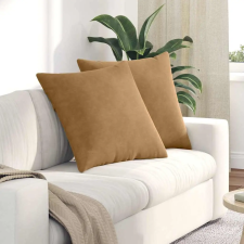  Kanapé párnák 2 pcs Barna 60 x 60 cm Bársonyos szövet lakástextília