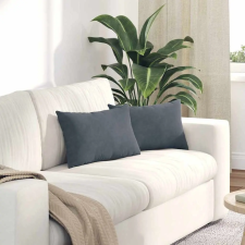  Kanapé párnák 2 pcs Sötétszürke 50 x 30 cm Bársonyos szövet lakástextília