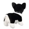  Kane - plüss boston terrier - 25cm