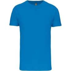 KARIBAN Gyermek kereknyakú organikus pamut póló, Kariban KA3027IC, Light Royal Blue-4/6