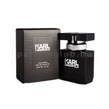 Karl Lagerfeld - Pour Homme EDT 100 ml férfi parfüm és kölni