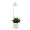 Kaspa Kaspa BOTANICA XL 40848101 Állólámpa 1x9W/GU10 IP20