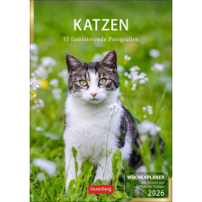  Katzen Wochenplaner 2026 - 53 faszinierende Fotografien naptár, kalendárium